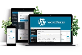 Freelance Digital Marketer In Ernakulam Explains WordPress
