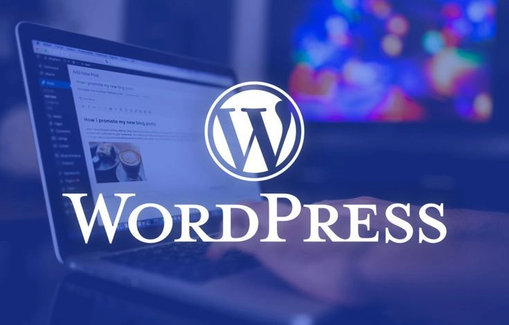 Freelance WordPress Developer In Kochi